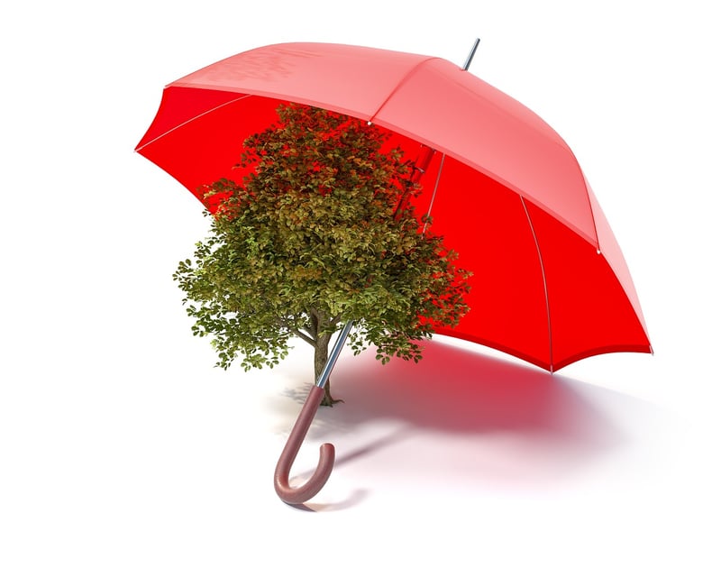 Eco-Friendly Innovations